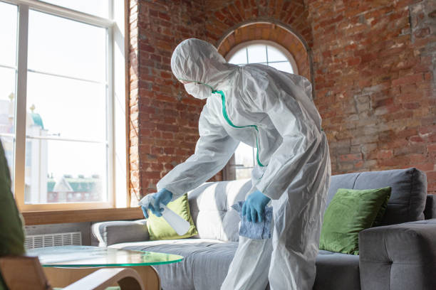 Best Asbestos and Lead Testing During Mold Inspection in Williamsburg, PA